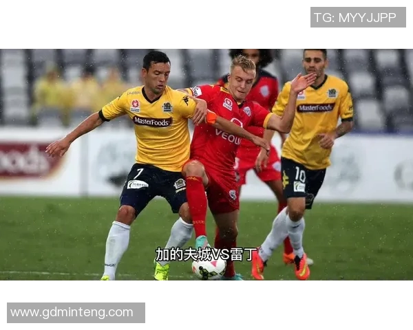 雷丁与加的夫激战成平局双方各取一分展现实力
