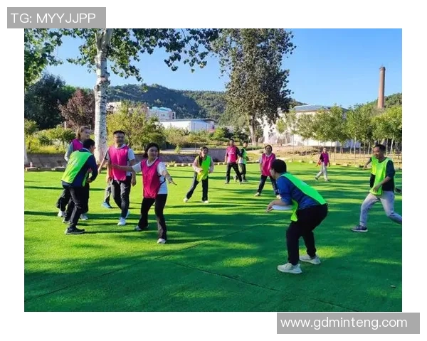 飞盘运动的崛起与发展专访陈敏揭秘成功背后的故事与策略MBA