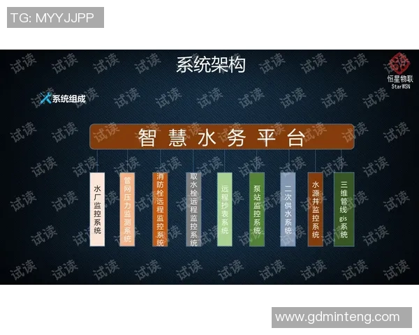 深圳排球队技术探讨:提升团队协作与个人技能的关键策略