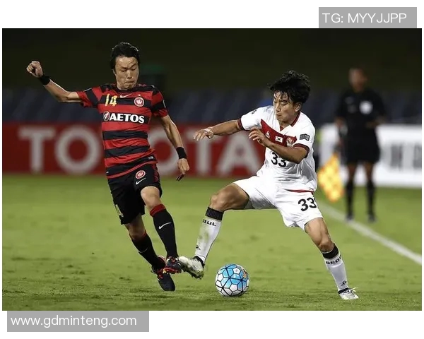 珀斯光荣女队对决悉尼女队精彩赛事回顾与分析