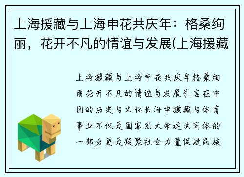 上海援藏与上海申花共庆年：格桑绚丽，花开不凡的情谊与发展(上海援藏领队)